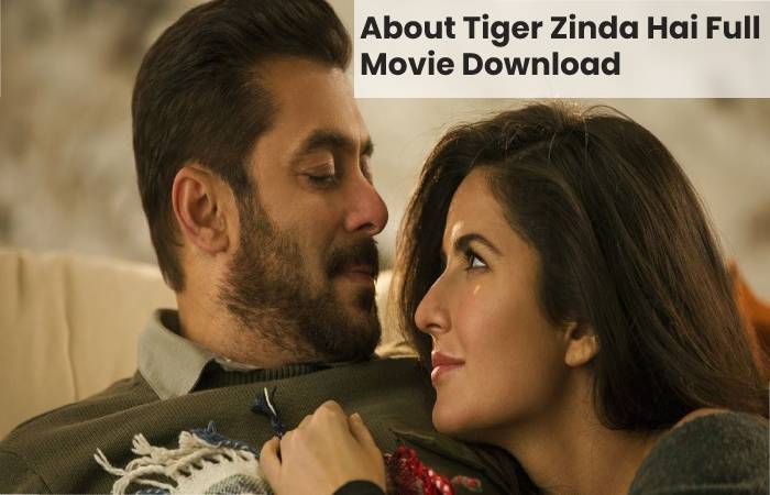 Tiger Zinda Hai Full Movie Download Filmyzilla