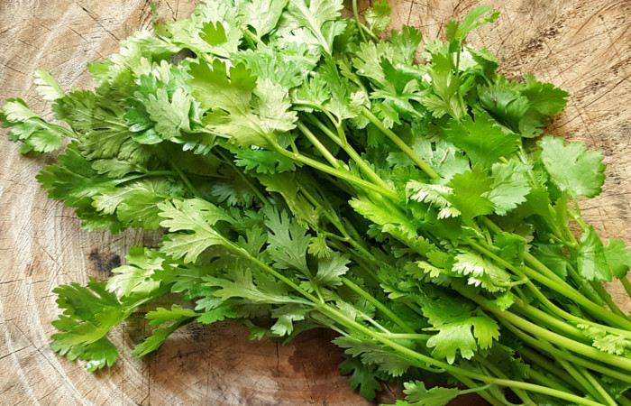 Wellhealthorganic.com: Coriander Leaves 5 Best Health Benefit