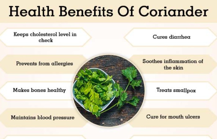 Wellhealthorganic.com: Coriander Leaves 5 Best Health Benefit