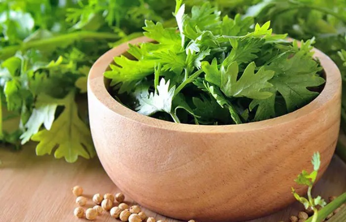 How to Use Cilantro?